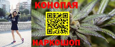 гидра Бердск