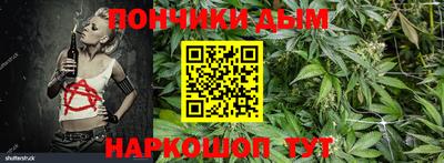 гидра Бердск