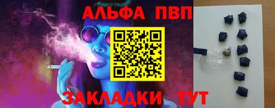 гидра Бердск