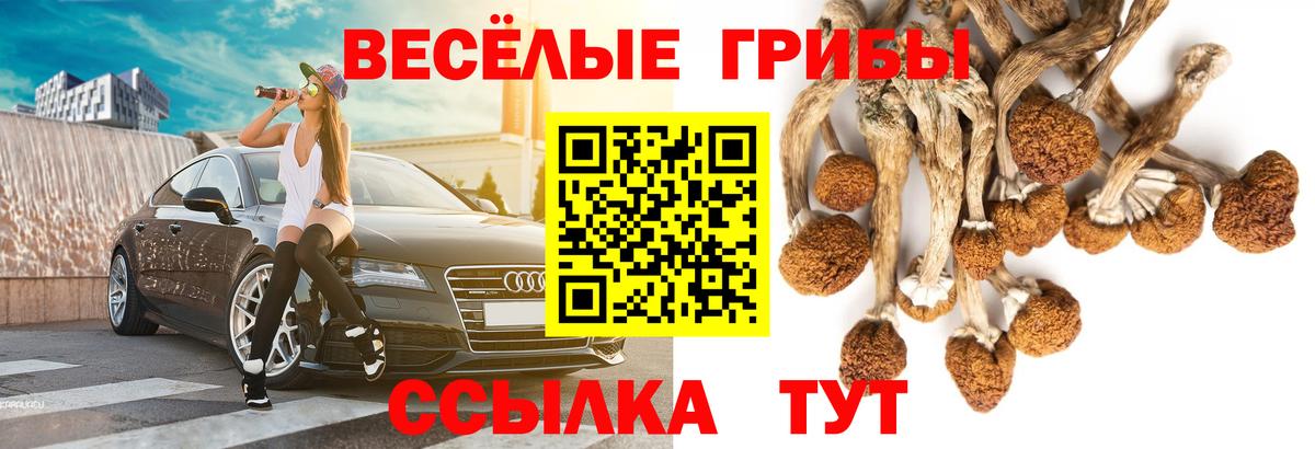где найти   Галлюциногенные грибы Psilocybe  Вход с VPN  Екатеринбург 
